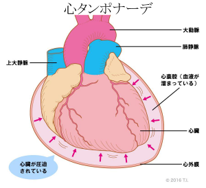 fusei_13