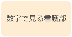 数字で見る看護部